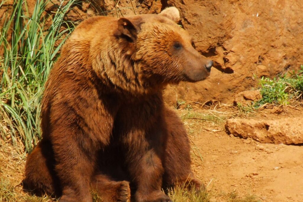 Parque de Cabárceno